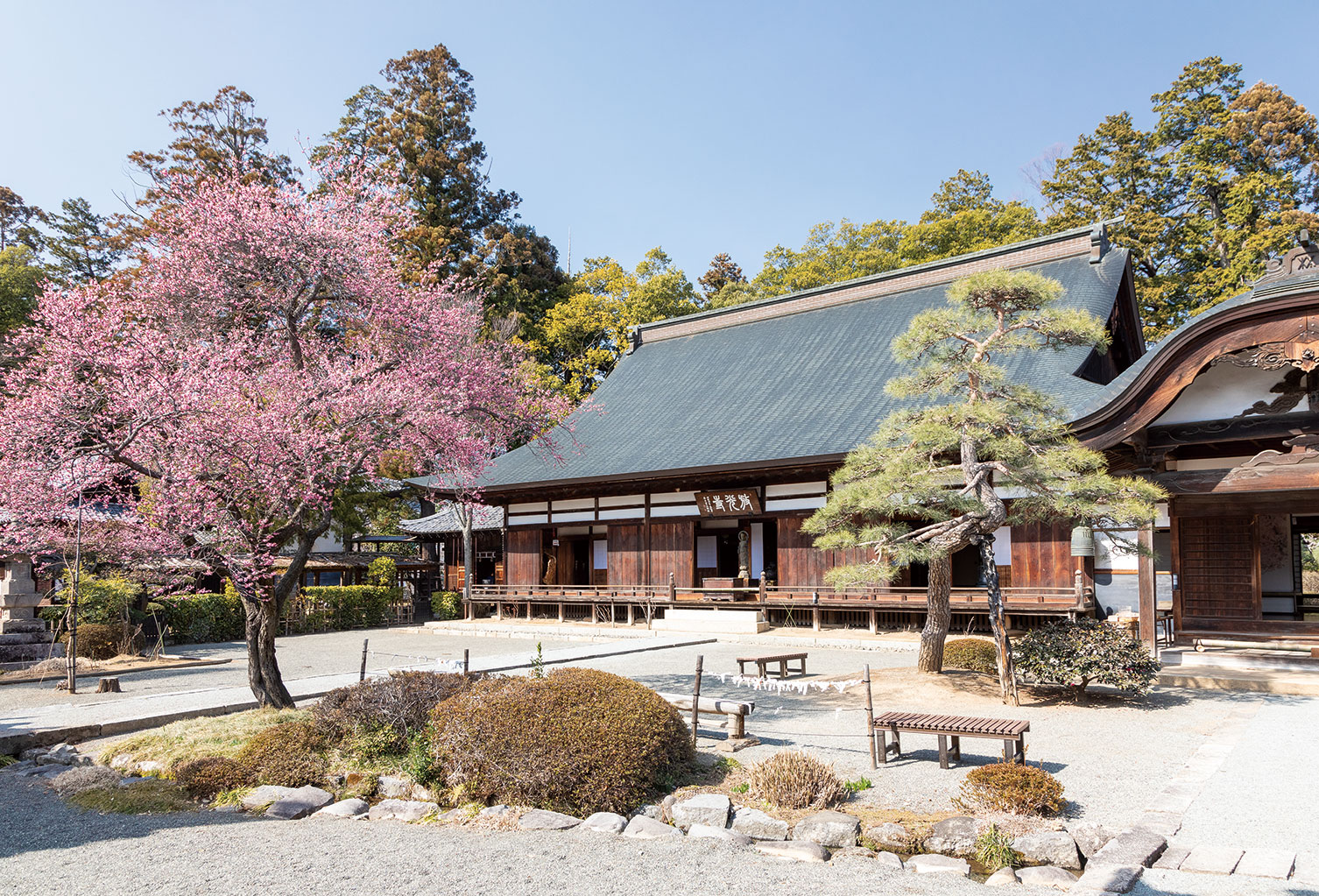 放光寺